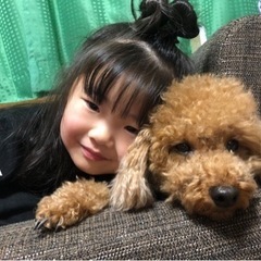 娘が犬アレルギーになってしまいました − 東京都