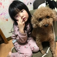 娘が犬アレルギーになってしまいました - 里親募集