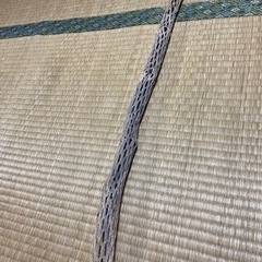 爬虫類、サボテン　流木