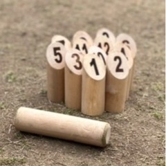 モルックをしませんか⁉️😆5月15日(日曜日)19時から　冷泉公園