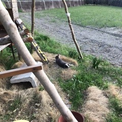 焚き火や花火、BBQができる場所