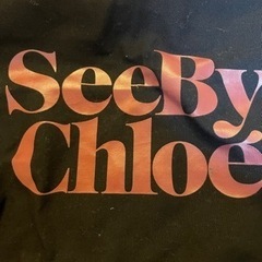 SeeByChloe シーバイクロエ　バッグ　大きいの画像