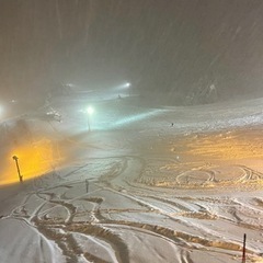 同い年かひとつ下の方良ければ仲良くしてください！