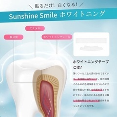 新品未開封！ホワイトニング 歯シート  美白 歯ケア 歯テープ セルフホワイトニング 14日分 の画像