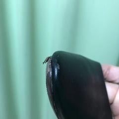 【取引中】合革ぺたんこ超ローヒールパンプス　24cm3E相当の画像