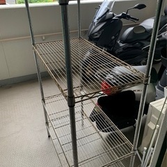 アングル棚※短期掲載