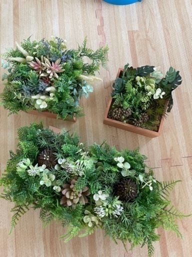 光触媒 観葉植物 セット