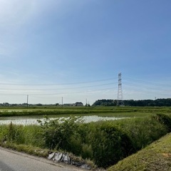 オープンスペース　テント🏕️ バーベキュー　簡易プール🏊　