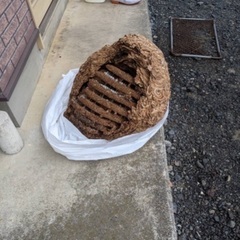 宮城県のハチ駆除おまかせください - 地元のお店