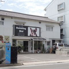 ペットショップで子犬のお世話　ホームページの更新業務の画像