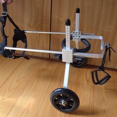 犬用車椅子 ペット用車椅子 犬の歩行器 犬用2輪歩行器 後肢 リ...