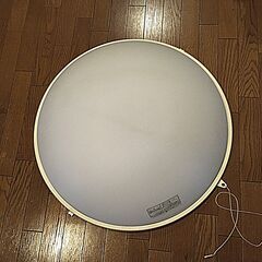 シーリングライト　頑丈です