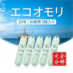 "釣り おもり"ブラザースポーツジャパン　鉄エコオモリ　25号　...