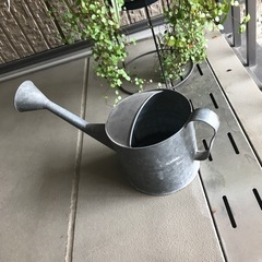 観葉植物4種寄植えとブリキのじょうろうの画像