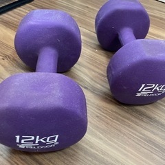 ダンベル　12kg セットの画像