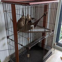 猫用ペットケージの画像