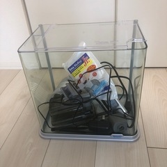 水槽
