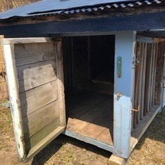 大型犬小屋　２頭飼いの画像