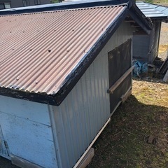 大型犬小屋　２頭飼いの画像