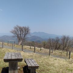 2歳8カ月娘のママです。