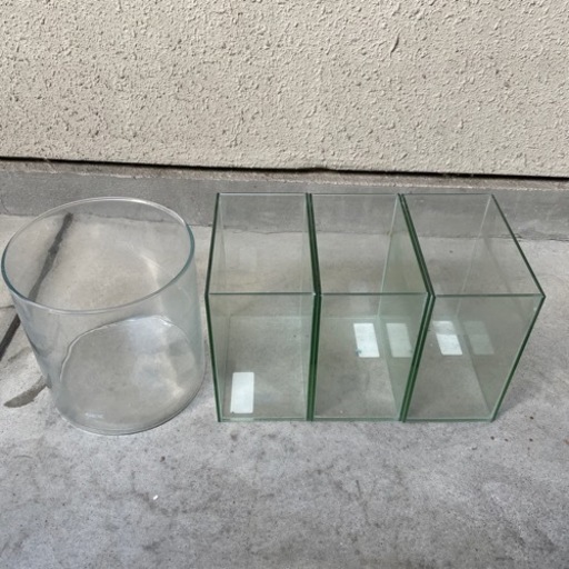 水槽 4つ　ベタ　できれば今週中