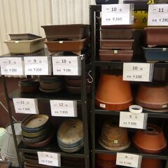 植木鉢・盆栽鉢（四角、楕円）　　　　　＊現状品お渡しとなります。の画像