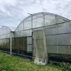 ビニール温室の中古が安い！激安で譲ります・無料であげます｜ジモティー