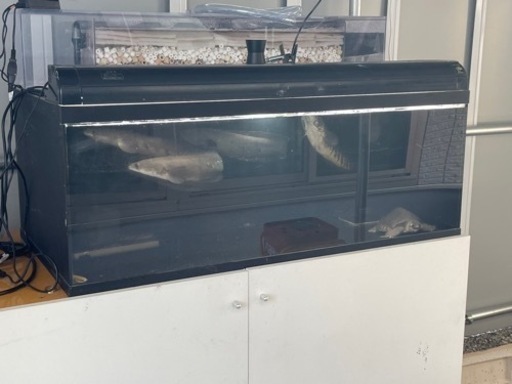 1200×450×600