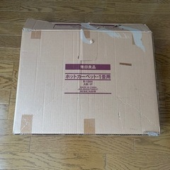 ホットカーペット(50円)