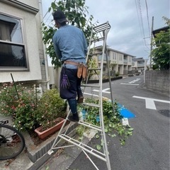 《8000〜15000》アルバイト急募！植木屋です🙇‍♂️の画像