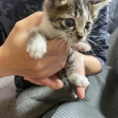 一時募集停止致します｡