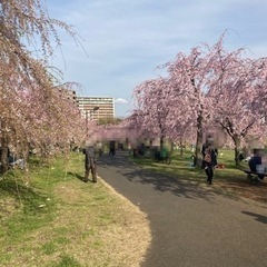 【20、30代限定】イベント・交流会「リバティ」✌️ - 台東区