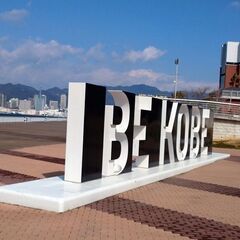 お散歩仲間募集