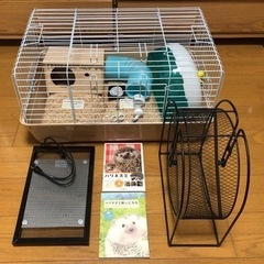 ハリネズミ　用品