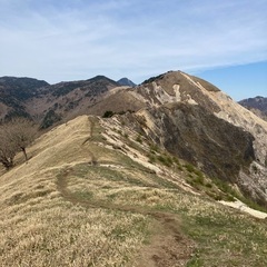 土日、埼玉低山行きましょう♪