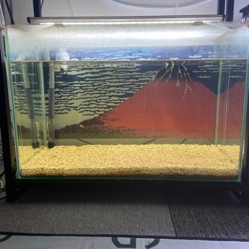 GEX ガラス水槽　60×30×40&GEX LEDライト パワー3