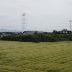 福岡。竹林、ジャングル、ユンボ、造成、防草工事