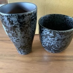 未使用　ちゃんこダイニング　Chanko Daining 若　泡旨ビール&焼酎カップ の画像