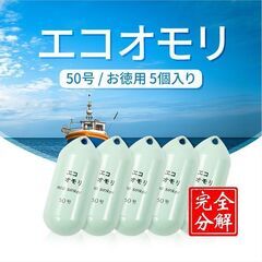 "釣り おもり"ブラザースポーツジャパン　鉄エコオモリ　50号グ...