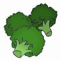 【6月～10月のお仕事】　野菜の選別作業 ～７月から人参選別もスタート ◆江別市野幌◆ 5/14（土）お仕事相談会開催の画像