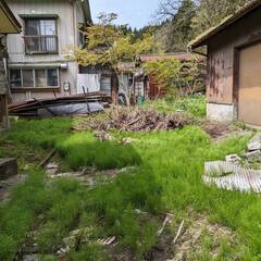 裏庭の草刈りと清掃、切枝の収集等（応募期限5/22まで）の画像