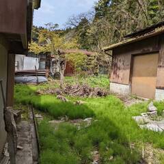 裏庭の草刈りと清掃、切枝の収集等（応募期限5/22まで）