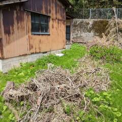 裏庭の草刈りと清掃、切枝の収集等（応募期限5/22まで）の画像