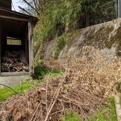 裏庭の草刈りと清掃、切枝の収集等（応募期限5/22まで）の画像