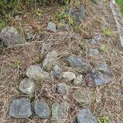 庭石　無料差し上げます