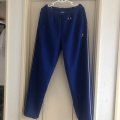 伊勢崎　宮郷中学校　（男子）