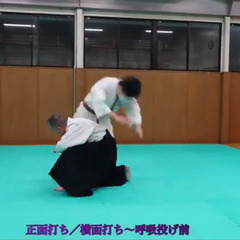 柳心館合気道場の画像