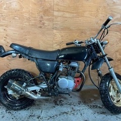 ★お支払総額9.8万円★ エイプ100 APE100 エンジンのみエイプ国内100cc！社外マフラー！ カスタムベースに♪ 休日の趣味に♪ 関東圏内即日配送可能です！の画像