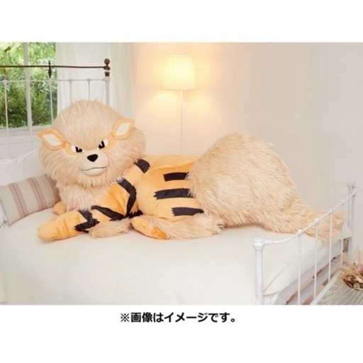 ウインディ　添い寝　ぬいぐるみ
