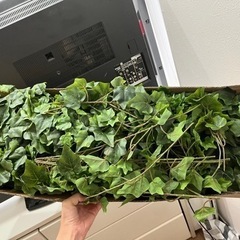 DIY フェイクグリーン　ツタ